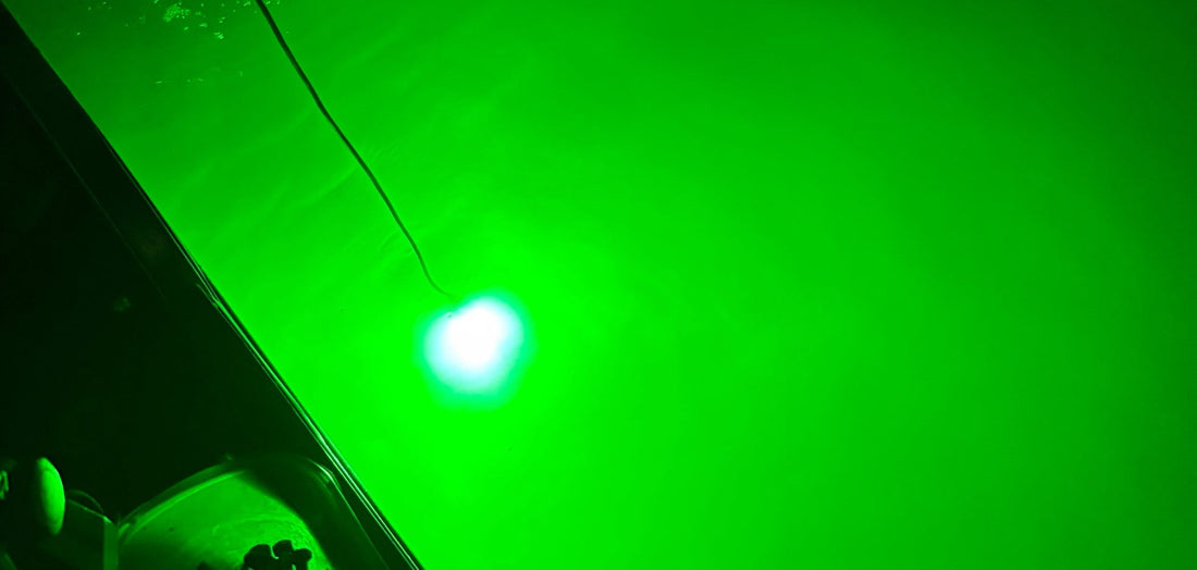Glow Magnet light glowing green under dark water at night, beside the boat