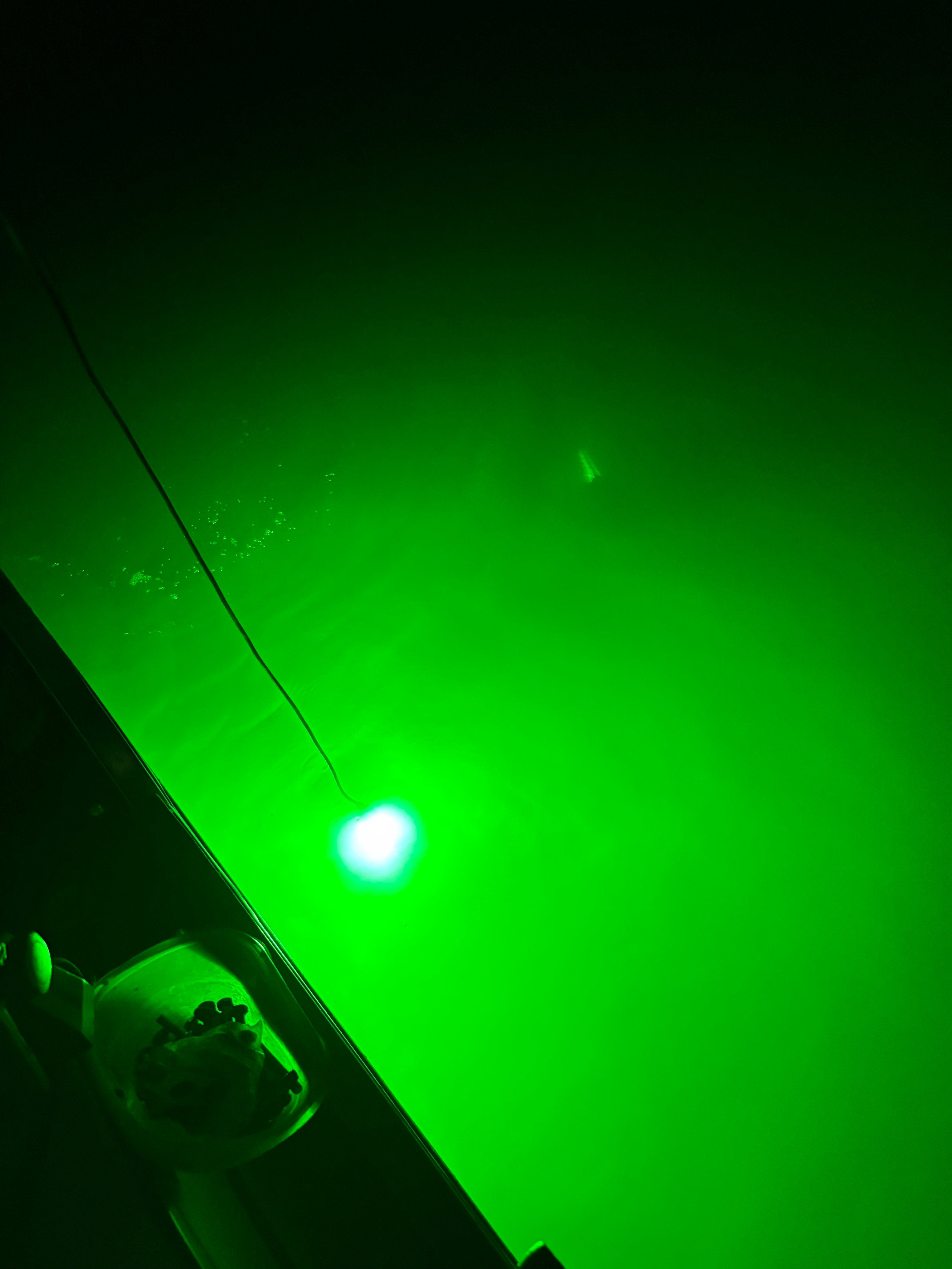 Crappie Country Glow Magnet LED light glowing green underwater at night, with a fish in the light